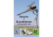 Insects of Kazakhstan