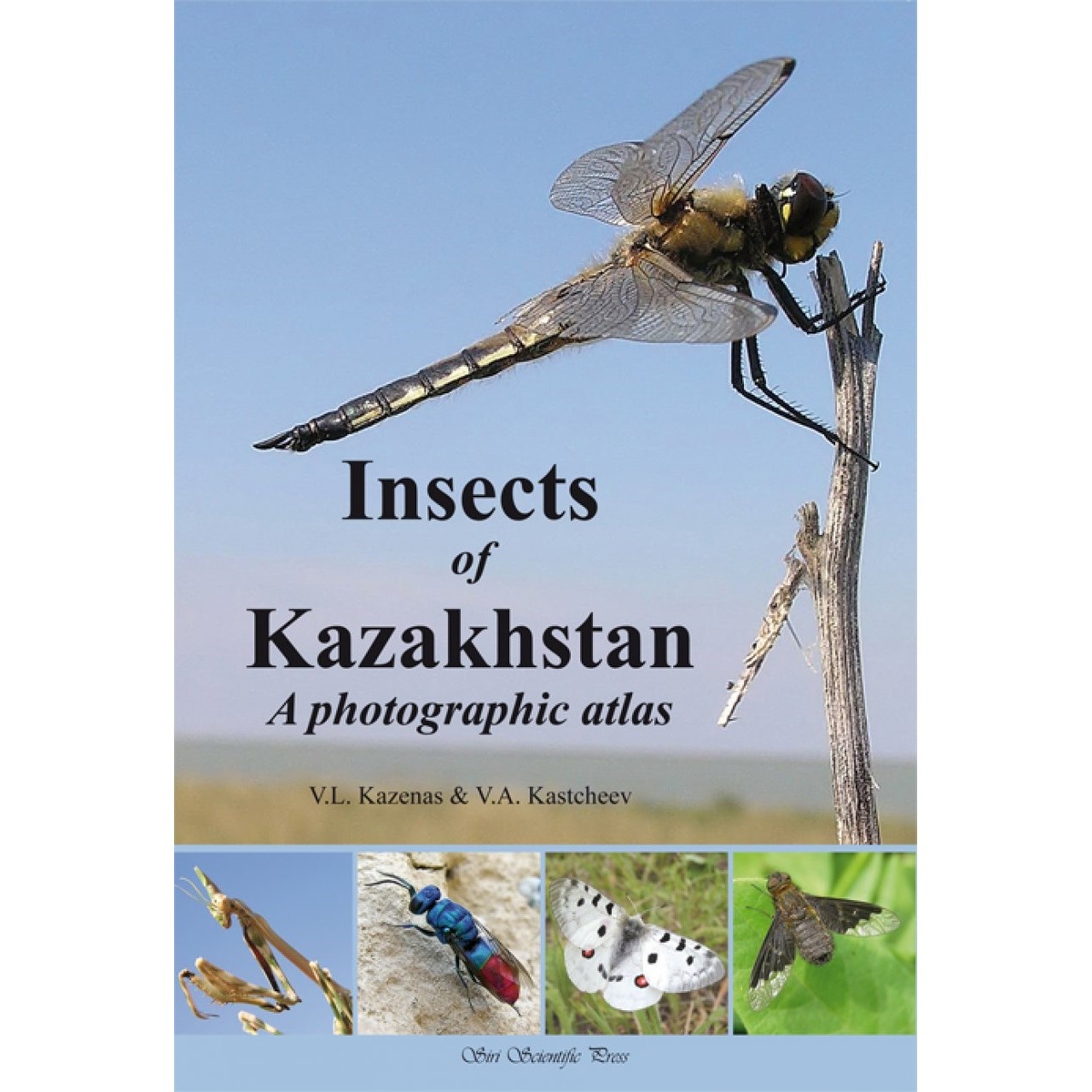 Insects of Kazakhstan - A Photographic Atlas