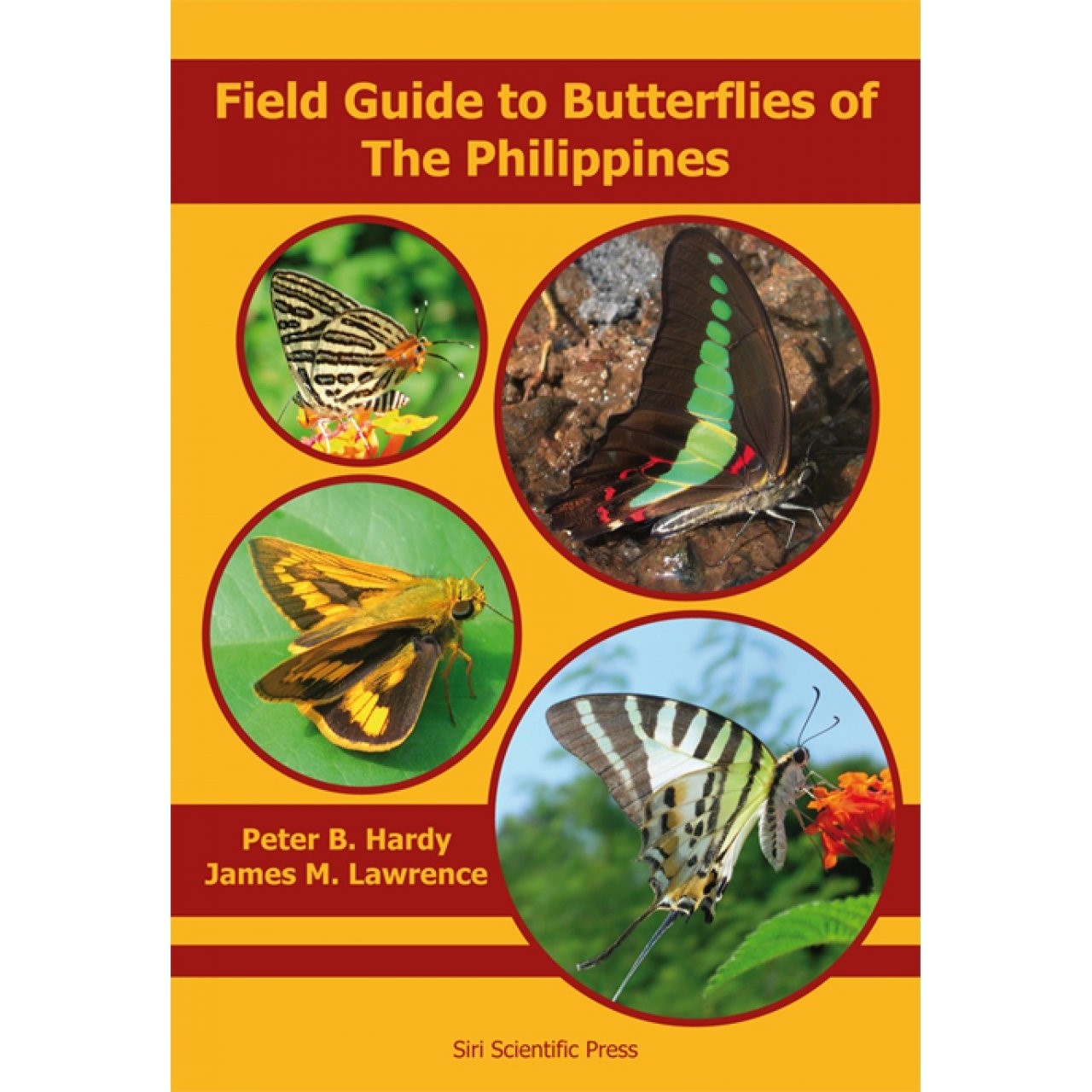 Field Guide to Butterflies of The Philippines