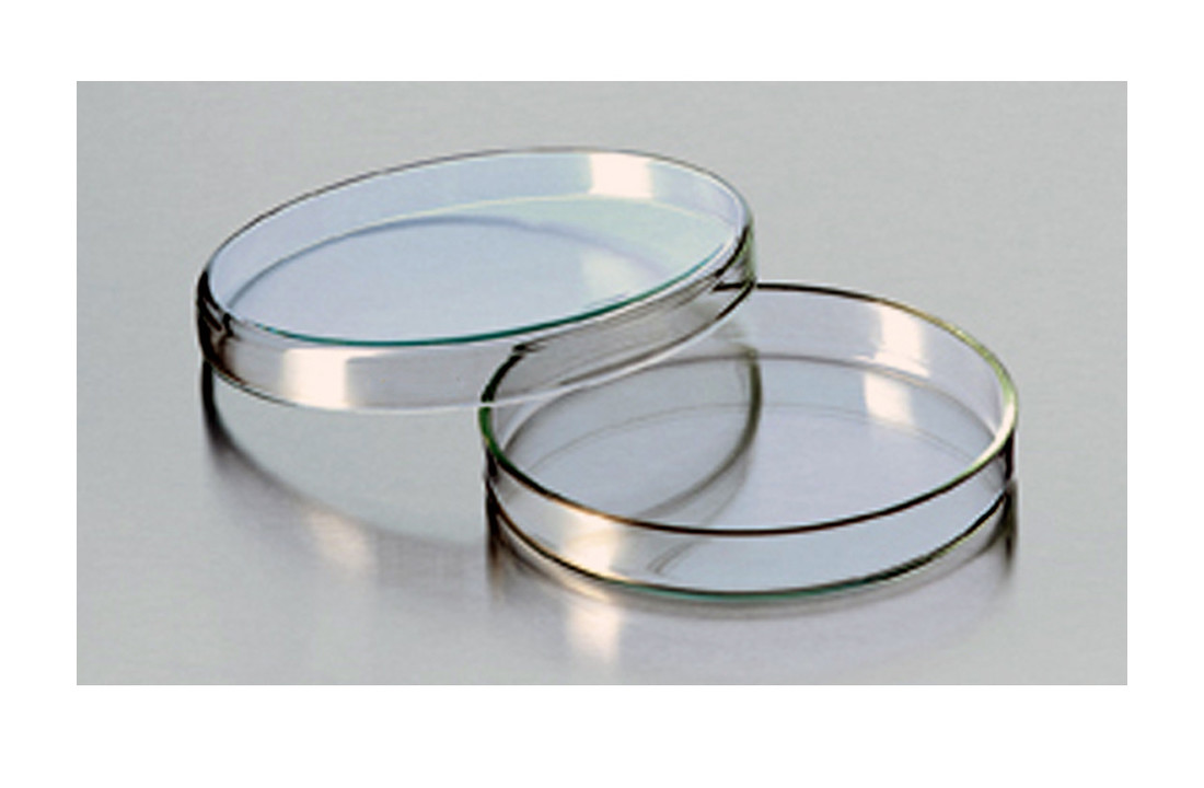Petrischaal glas 100 x 20mm