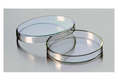 Petrischaal glas