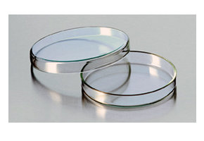 Petri dish glass