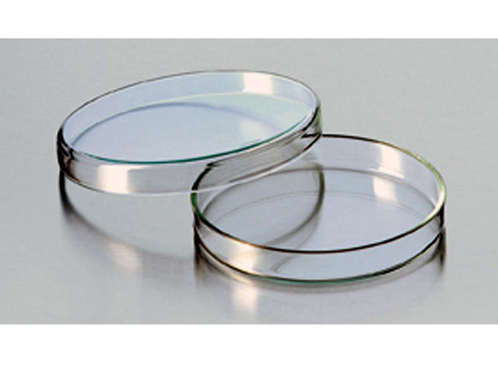 Petri dish glass 100mm, 20mm high