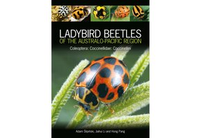 Ladybird Beetles of the Australo-Pacific Region