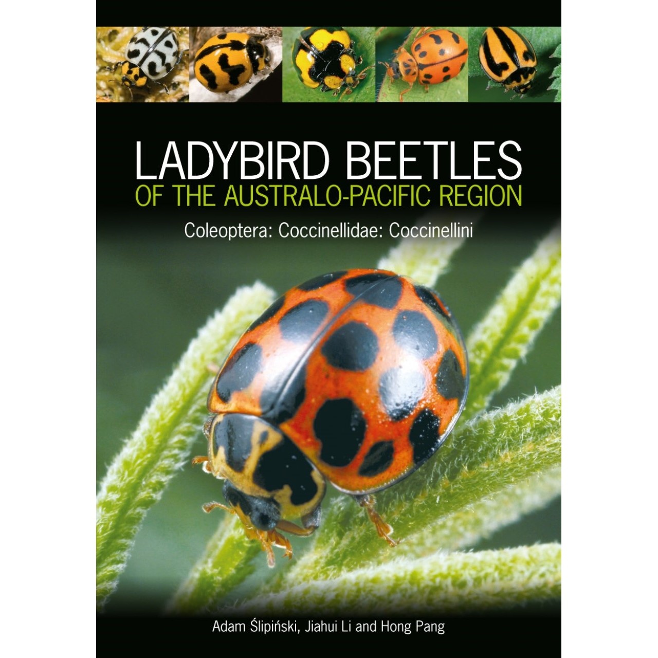 Ladybird Beetles of the Australo-Pacific Region - Coleoptera: Coccinellidae: Coccinellini