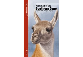 Mammals of the Southern Cone
