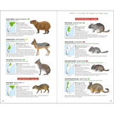 Mammals of the Southern Cone - Argentina, Chile, Paraguay, Uruguay