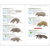Mammals of the Southern Cone - Argentina, Chile, Paraguay, Uruguay