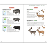 Mammals of the Southern Cone - Argentina, Chile, Paraguay, Uruguay