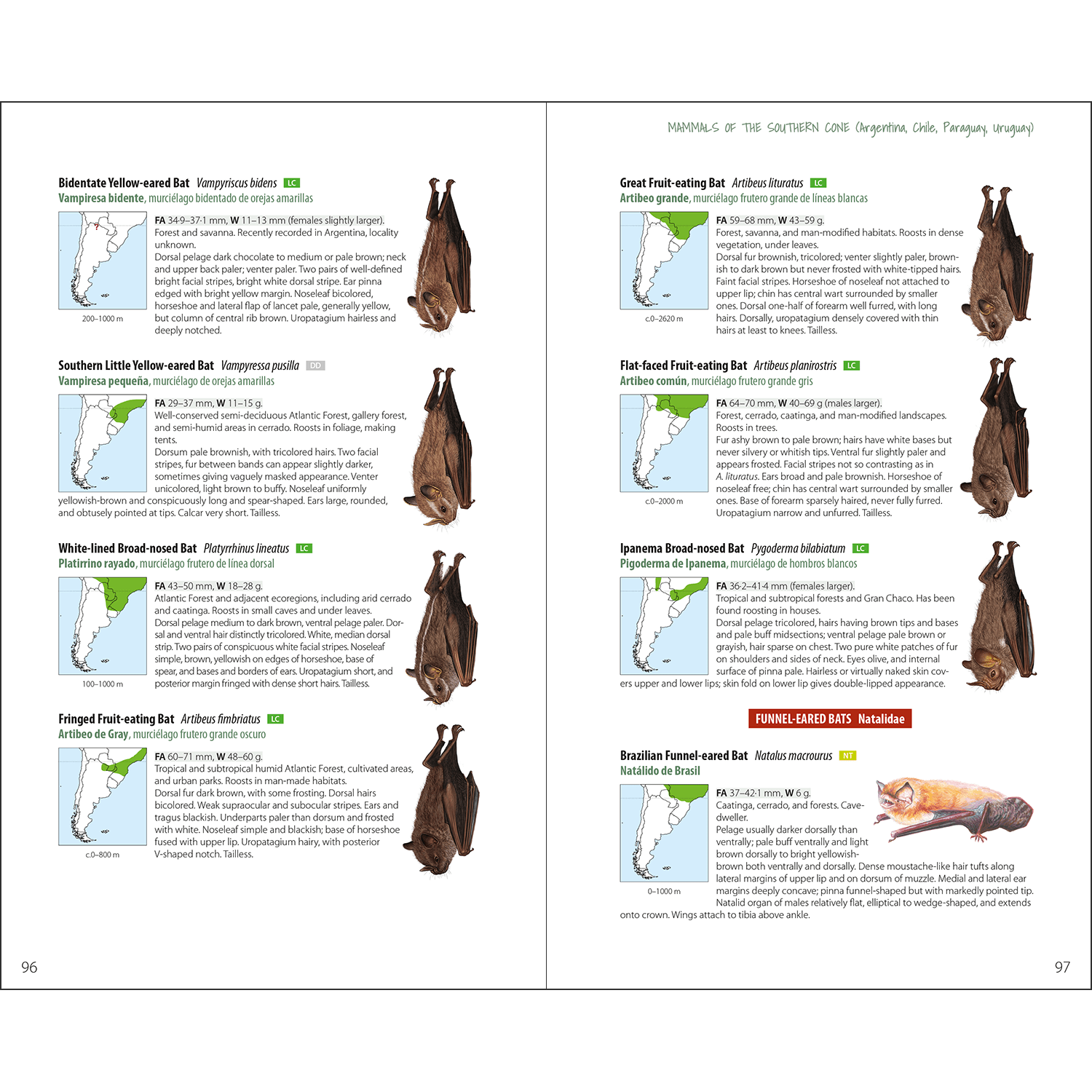 Mammals of the Southern Cone - Argentina, Chile, Paraguay ...