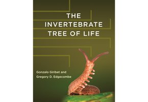 The Invertebrate Tree of Life