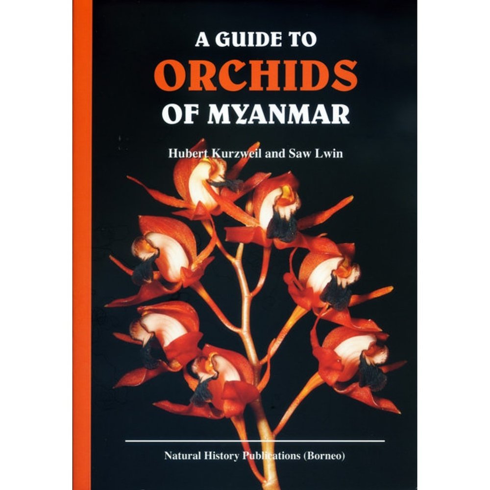 a-guide-to-orchids-of-myanmar.jpg