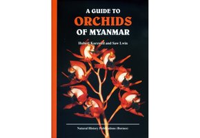 A Guide to Orchids of Myanmar