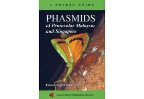 Phasmids of Peninsular Malaysia and Singapore