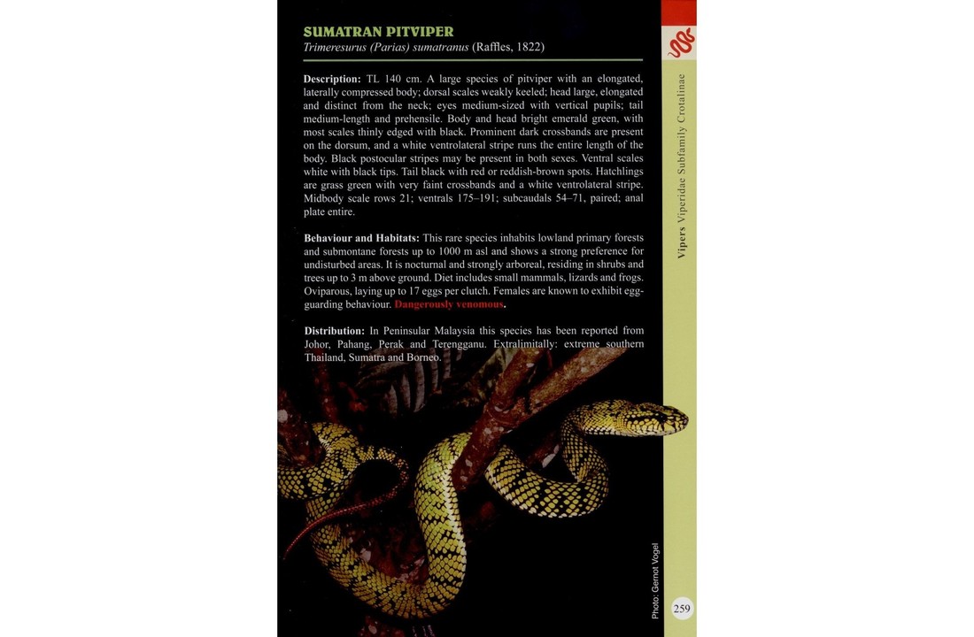 A Guide to Snakes of Peninsular Malaysia and Singapore