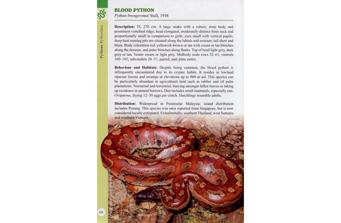 A Guide to Snakes of Peninsular Malaysia and Singapore