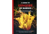 A Guide to Gingers of Borneo