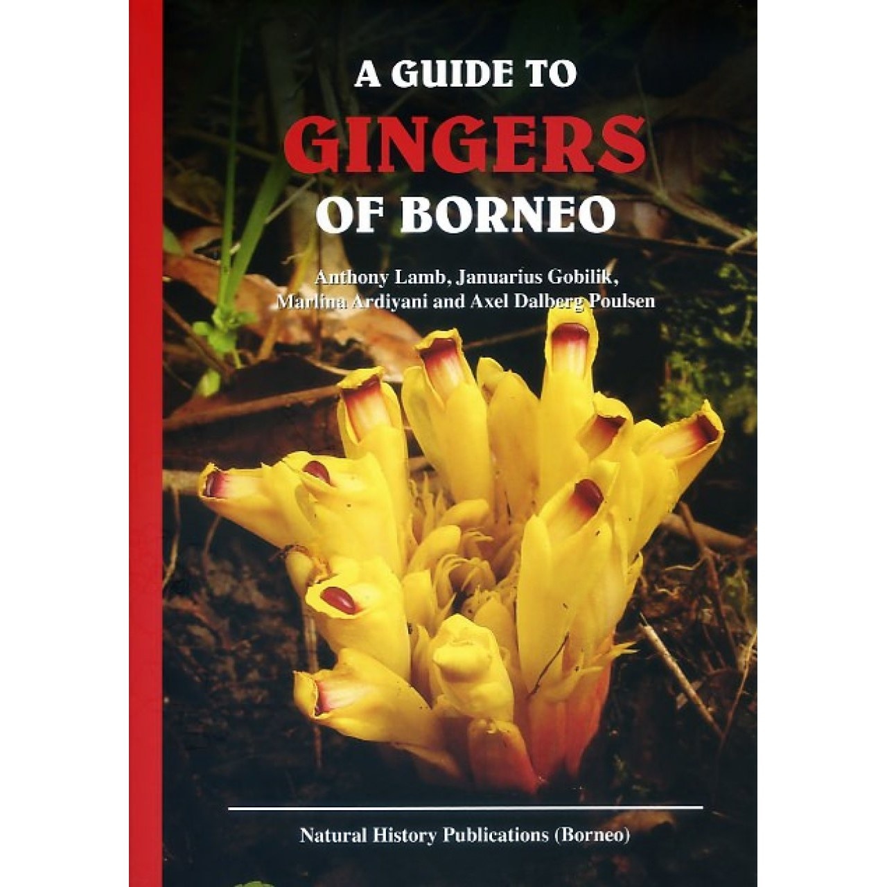 A Guide to Gingers of Borneo