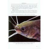 A Field Guide to the Fishes of Kuching Rivers - Sarawak, Malaysian Borneo