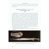 A Field Guide to the Fishes of Kuching Rivers - Sarawak, Malaysian Borneo