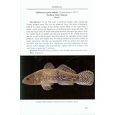 A Field Guide to the Fishes of Kuching Rivers - Sarawak, Malaysian Borneo