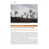 Barn Owls - Evolution and Ecology - with Grass Owls, Masked Owls and Sooty Owls