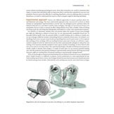 Barn Owls - Evolution and Ecology - with Grass Owls, Masked Owls and Sooty Owls