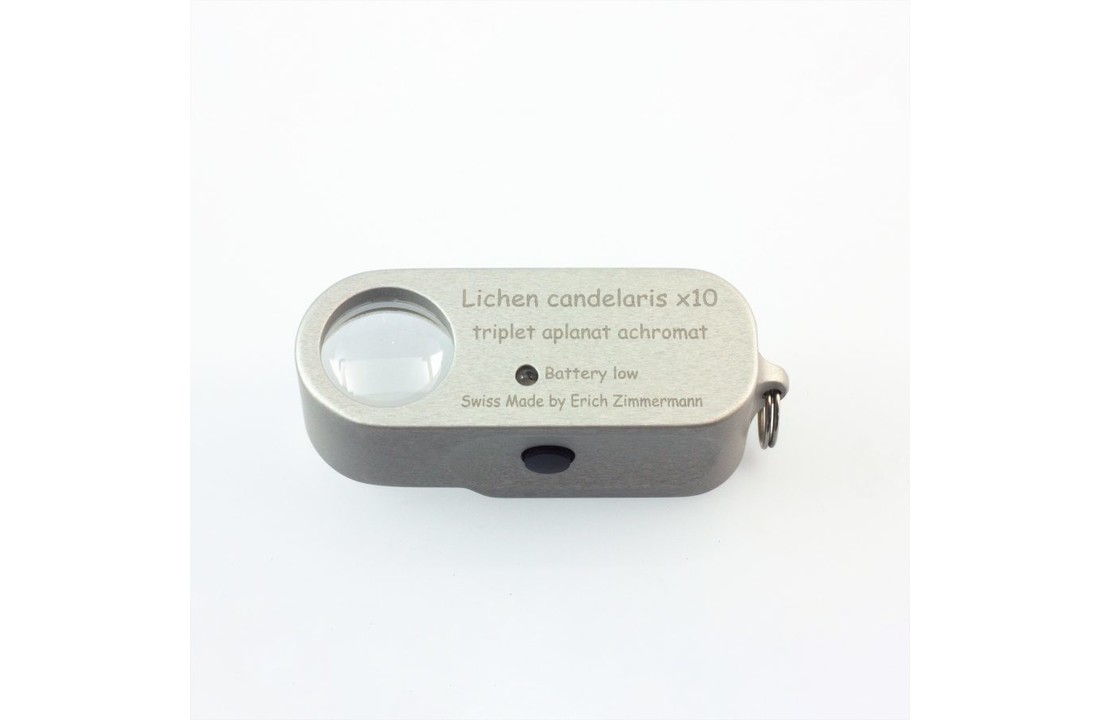 Lichen Candelaris Magnifying Glass 10x19 with LED Lighting