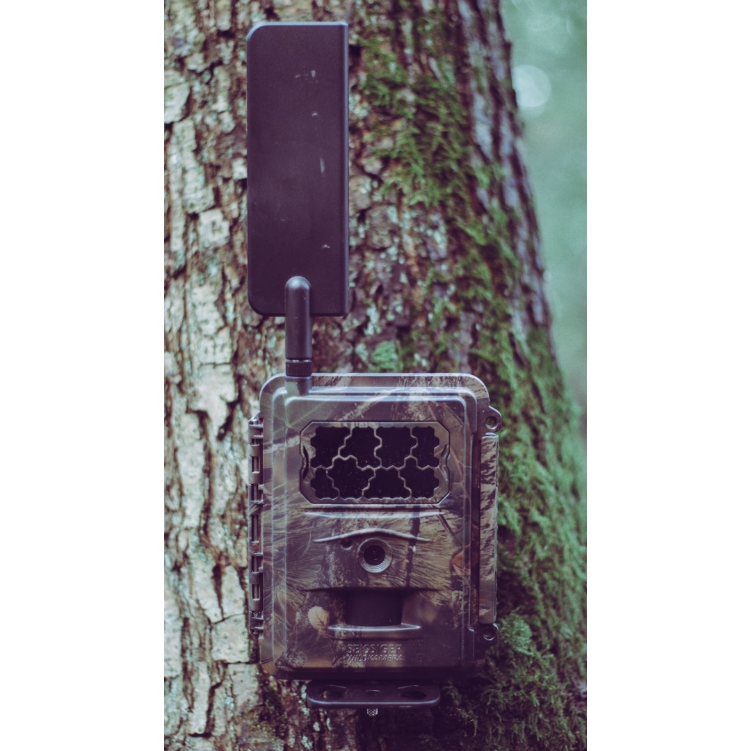 Tree Tripod