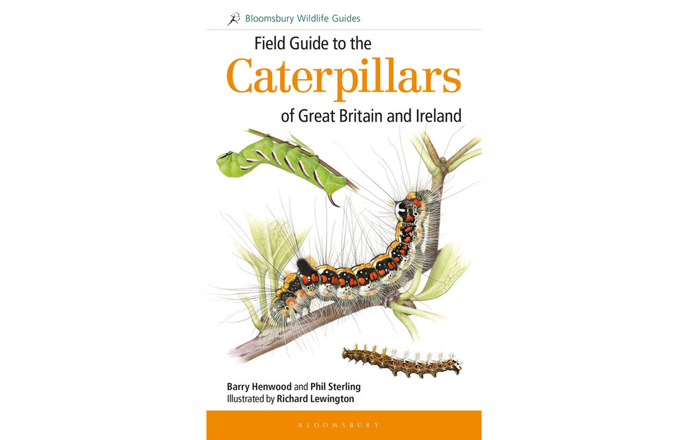 Field Guide to the Caterpillars of Great Britain and Ireland