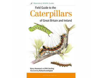 Field Guide to the Caterpillars of Great Britain and Ireland