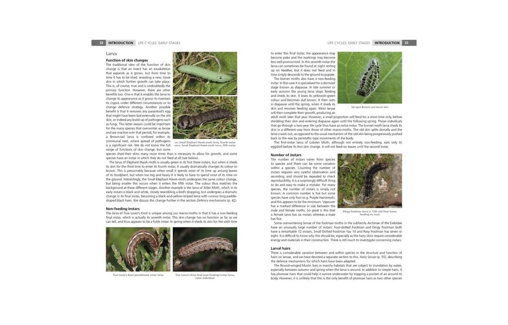 Field Guide to the Caterpillars of Great Britain and Ireland