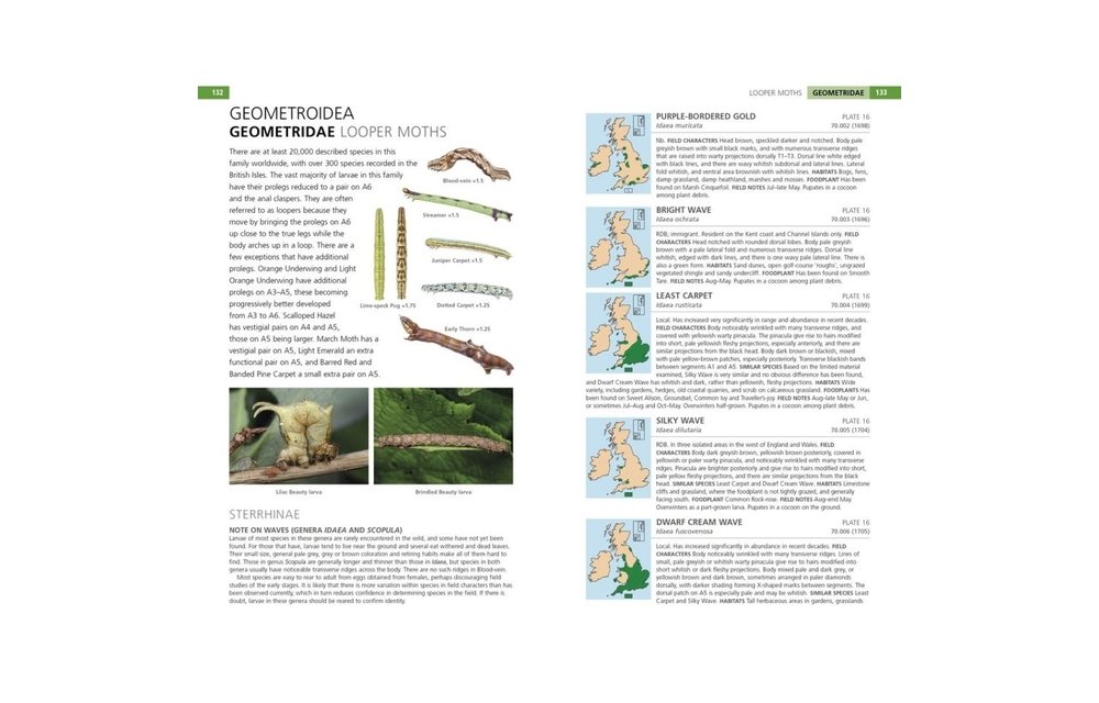 Field Guide to the Caterpillars of Great Britain and Ireland