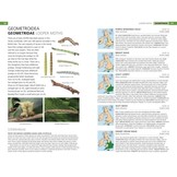 Field Guide to the Caterpillars of Great Britain and Ireland