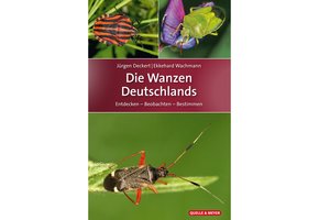 Die Wanzen Deutschlands