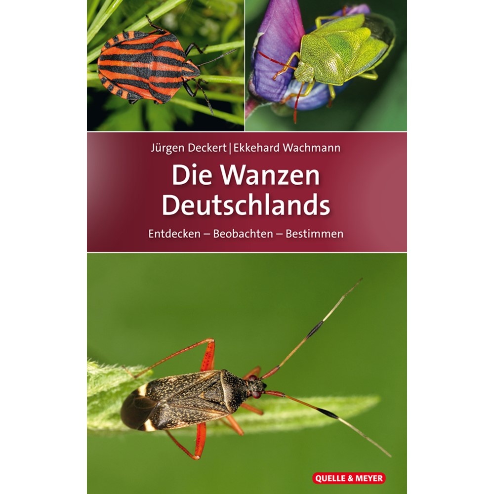 Die Wanzen Deutschlands - Entdecken - Beobachten - Bestimmen
