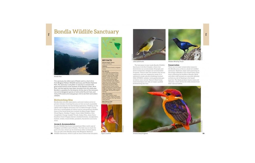 The 100 Best Birdwatching Sites in India