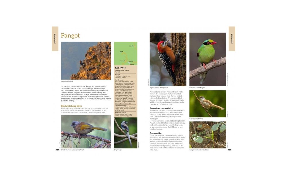 The 100 Best Birdwatching Sites in India