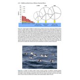 Wildlife and Wind Farms - Conflicts and Solutions, Volume 3 Offshore: Potential Effects