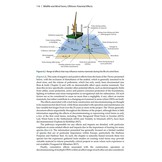 Wildlife and Wind Farms - Conflicts and Solutions, Volume 3 Offshore: Potential Effects