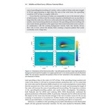 Wildlife and Wind Farms - Conflicts and Solutions, Volume 3 Offshore: Potential Effects