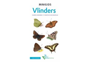 Minigids Vlinders