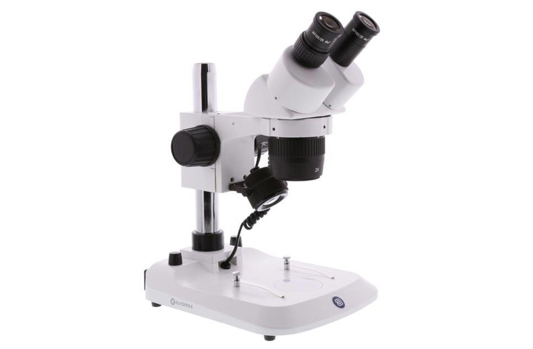StereoBlue Binocular Stereo Microscope, 20x/40x, Pillar Stand