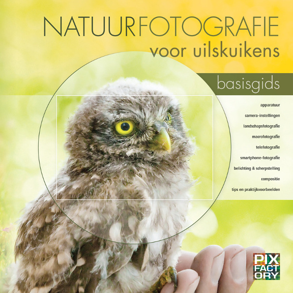 Natuurfotografie voor Uilskuikens - Basisgids