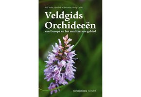 Veldgids Orchideeën