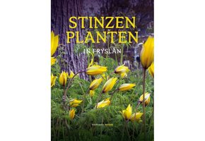 Stinzenplanten in Fryslân