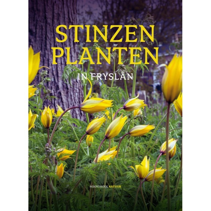 Stinzenplanten in Fryslân