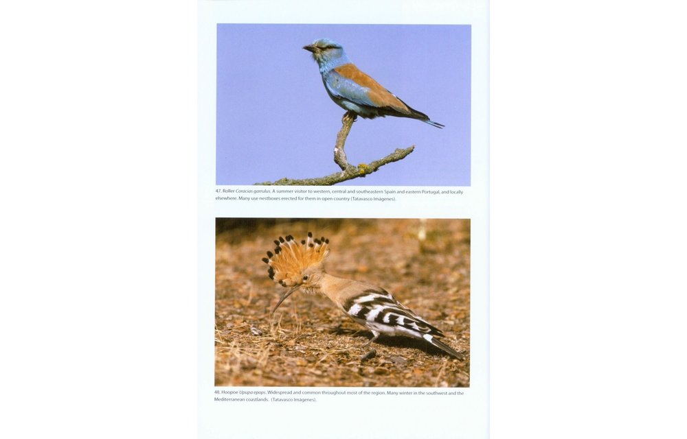 The Birds of the Iberian Peninsula