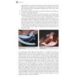 The Dangerous Snakes of Africa