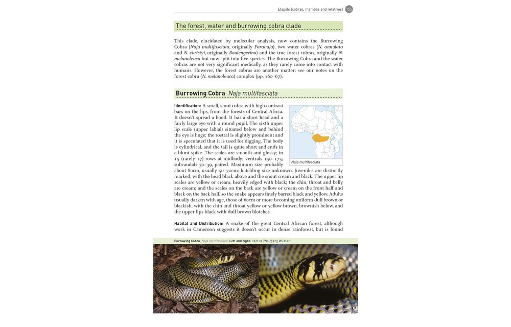 The Dangerous Snakes of Africa